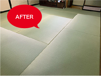 サムネール画像