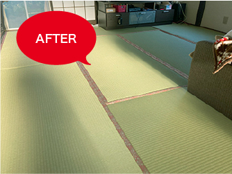 サムネール画像